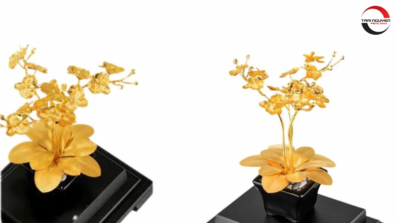 Cách sử dụng Hồ điệp tam cát hợp phong thủy