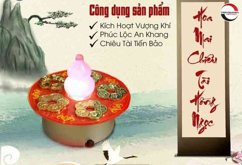 Hoa Mai Chiêu Tài đặt tại nhiều vị trí khác nhau như bàn làm việc và quầy thu ngân