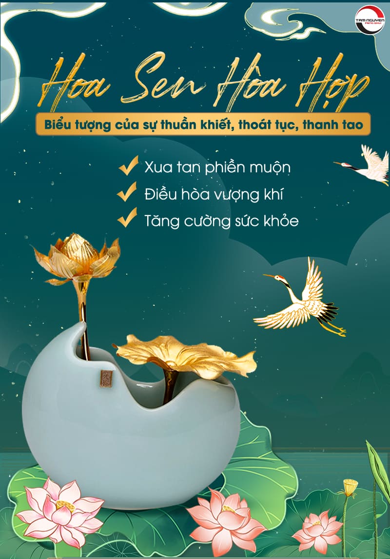 Ý nghĩa của Hoa sen hòa hợp