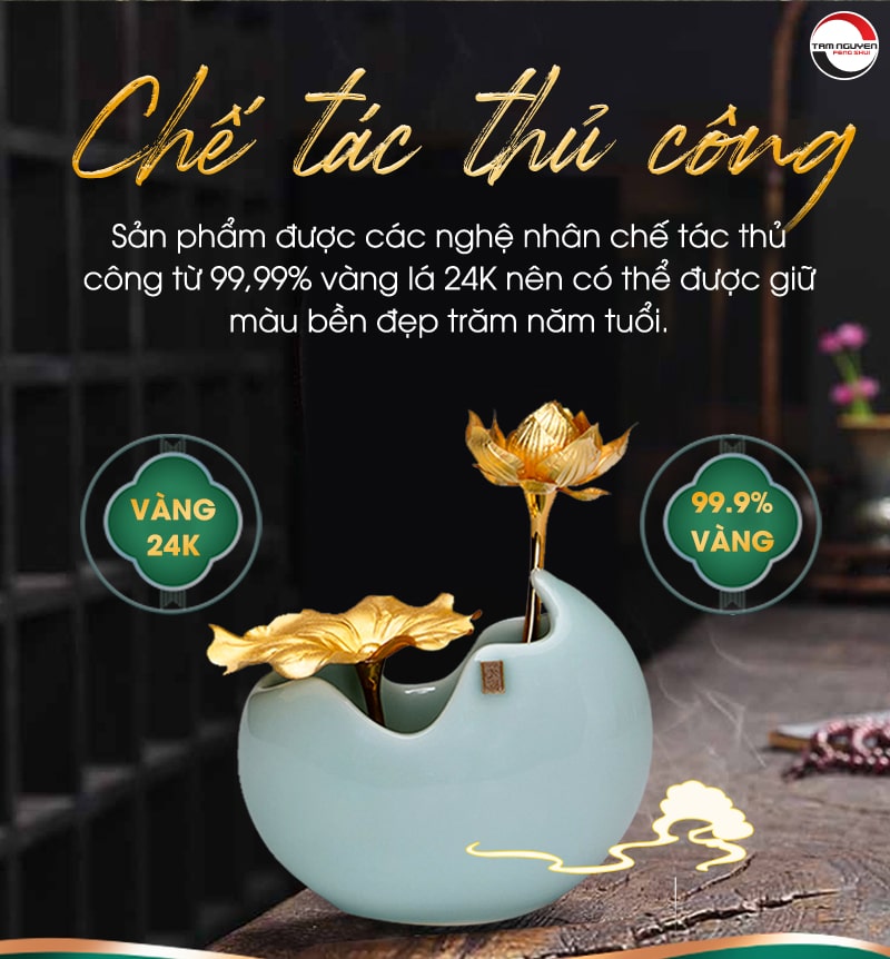 Hoa sen hòa hợp tại Phong Thủy Tam Nguyên