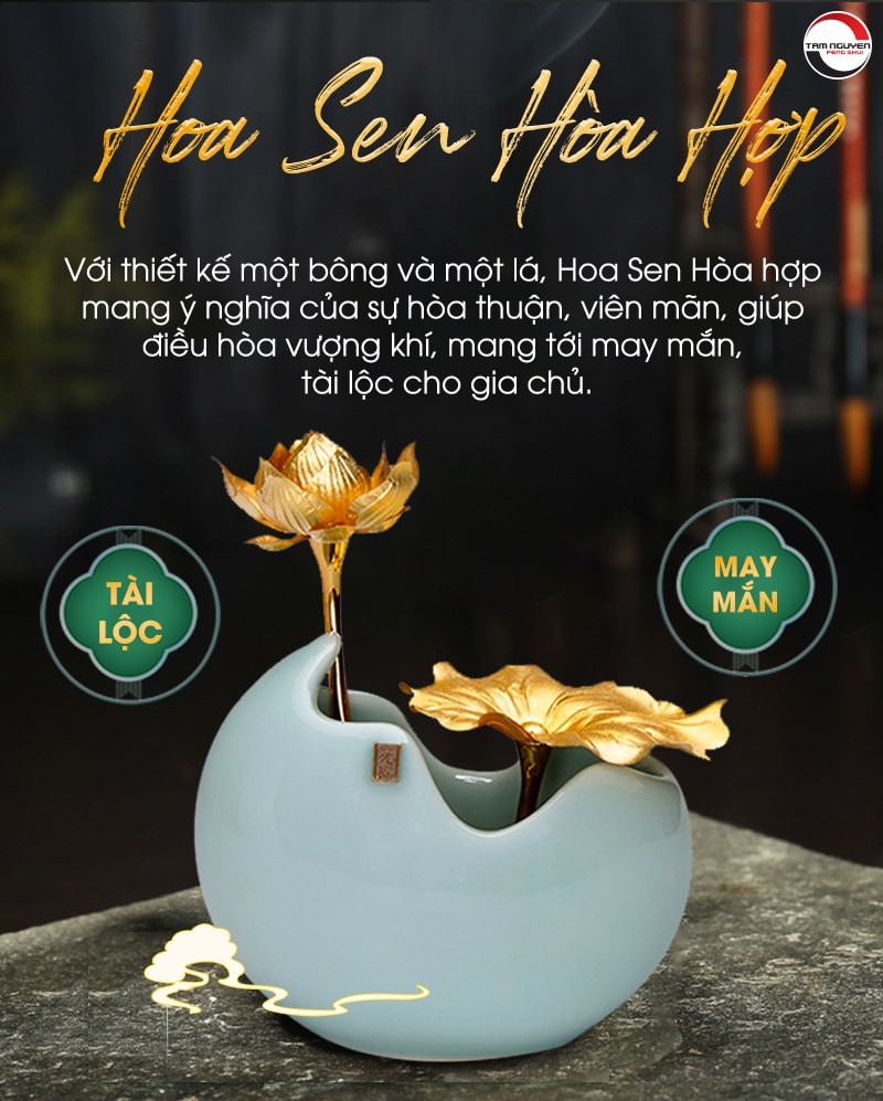Chi tiết về Hoa sen hòa hợp
